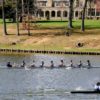 Boys 2V at St Andrews Regatta 2026